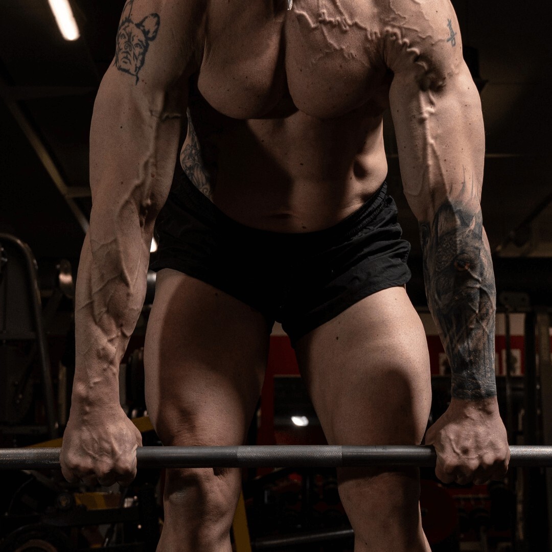 Takareidet Anatomia: Takareiden lihakset (hamstrings) koostuvat kolmesta päälihaksesta: biceps femoris, semitendinosus ja semimembranosus. Ne osallistuvat lonkan ojennukseen ja polven koukistukseen, tärkeitä esimerkiksi juoksussa.